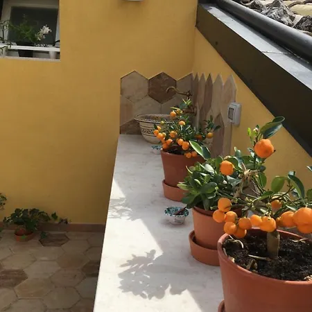 Exclusive Flat With Terrace And Barbecue * Ragusa